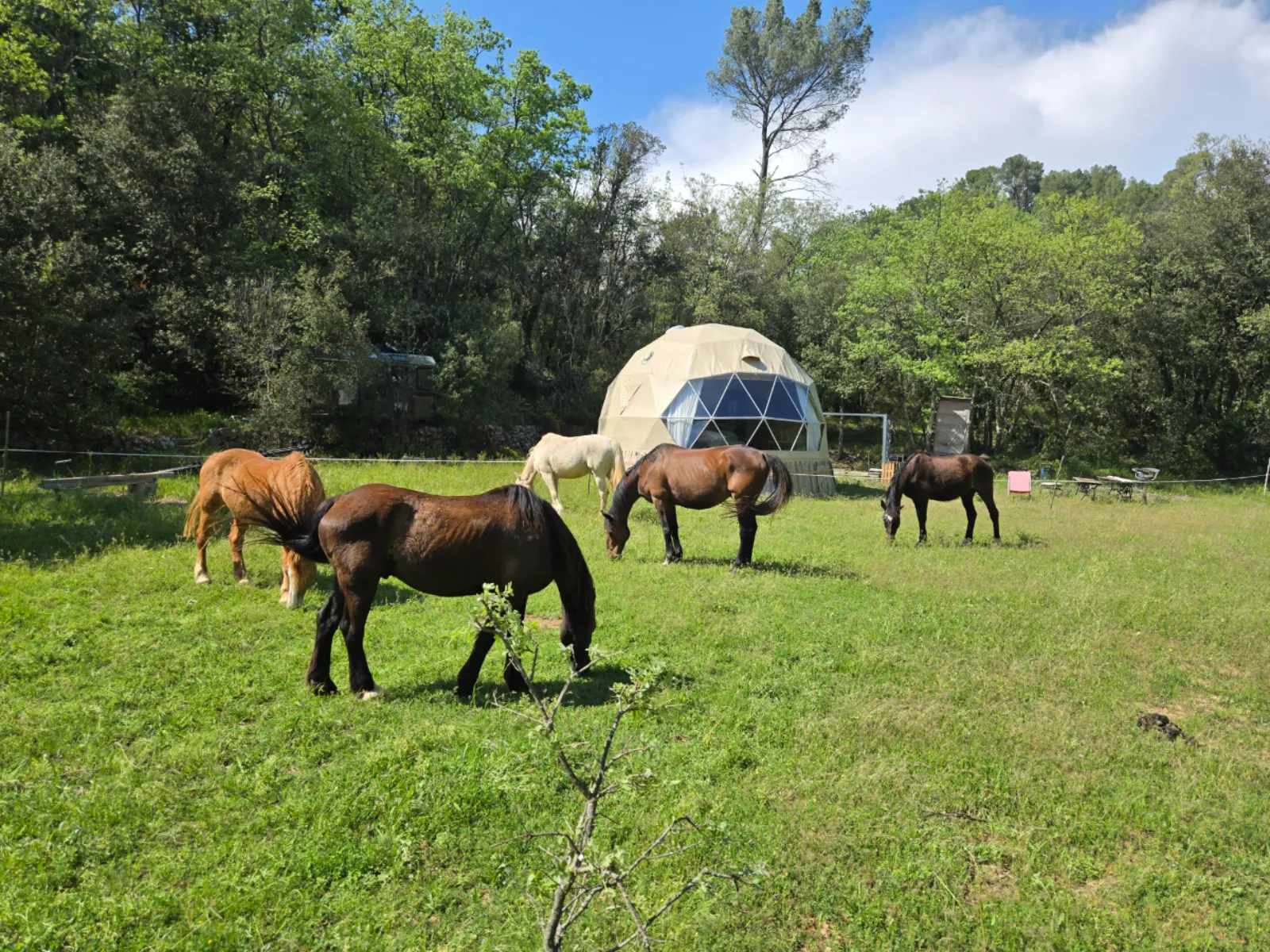 La cabane aux chevaux - bulle à Varages, Var
