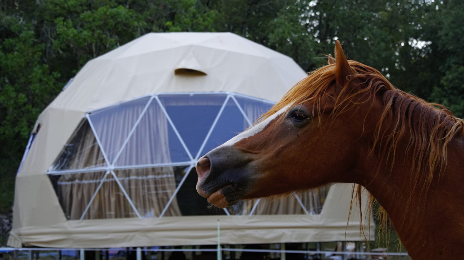 Chambre bulle sous les étoiles à Varages