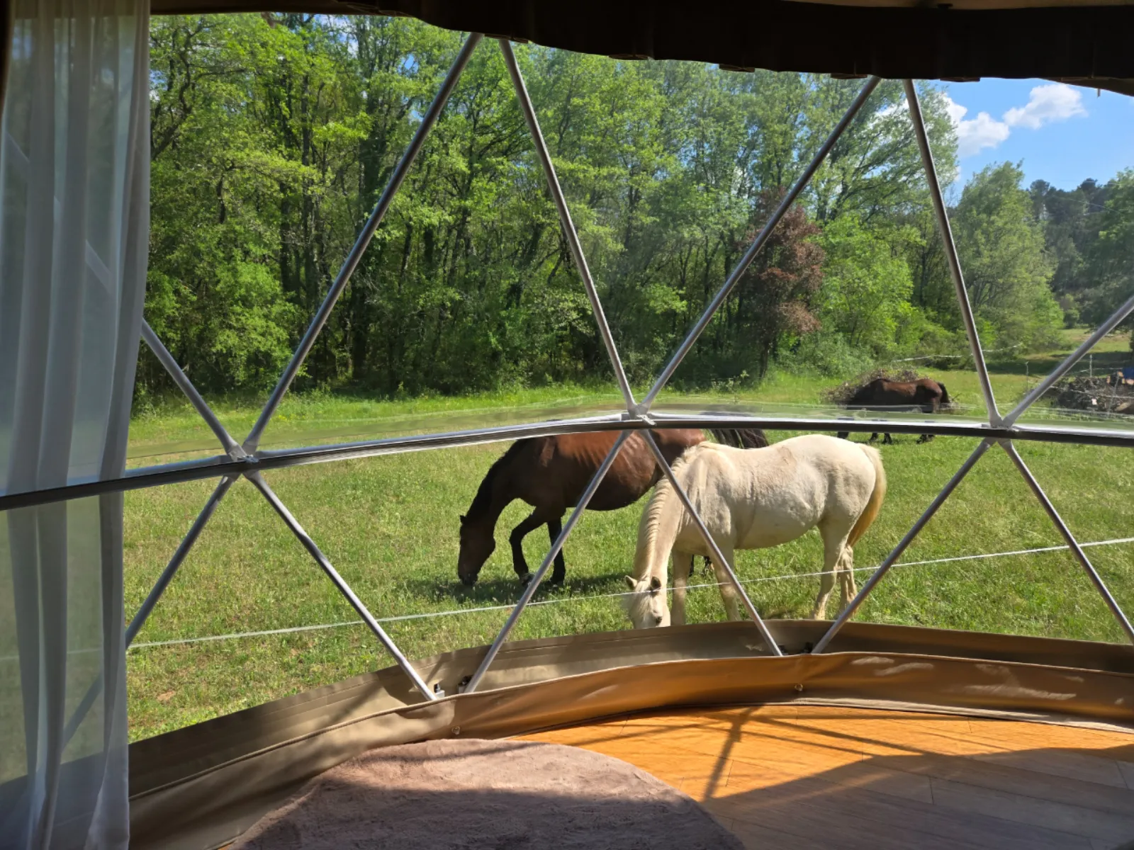 La cabane aux chevaux - photo 11 sur 13