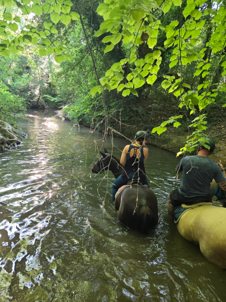 La cabane aux chevaux – photo 12 sur 13