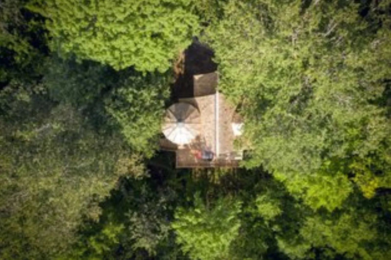 Dôme perché Spa - Chouette : Dôme en Bourgogne (Bourgogne-Franche-Comté) - photo 12 sur 17