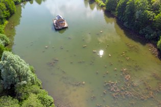 Dôme perché Spa - Chouette : Dôme en Bourgogne (Bourgogne-Franche-Comté) – photo 16 sur 17