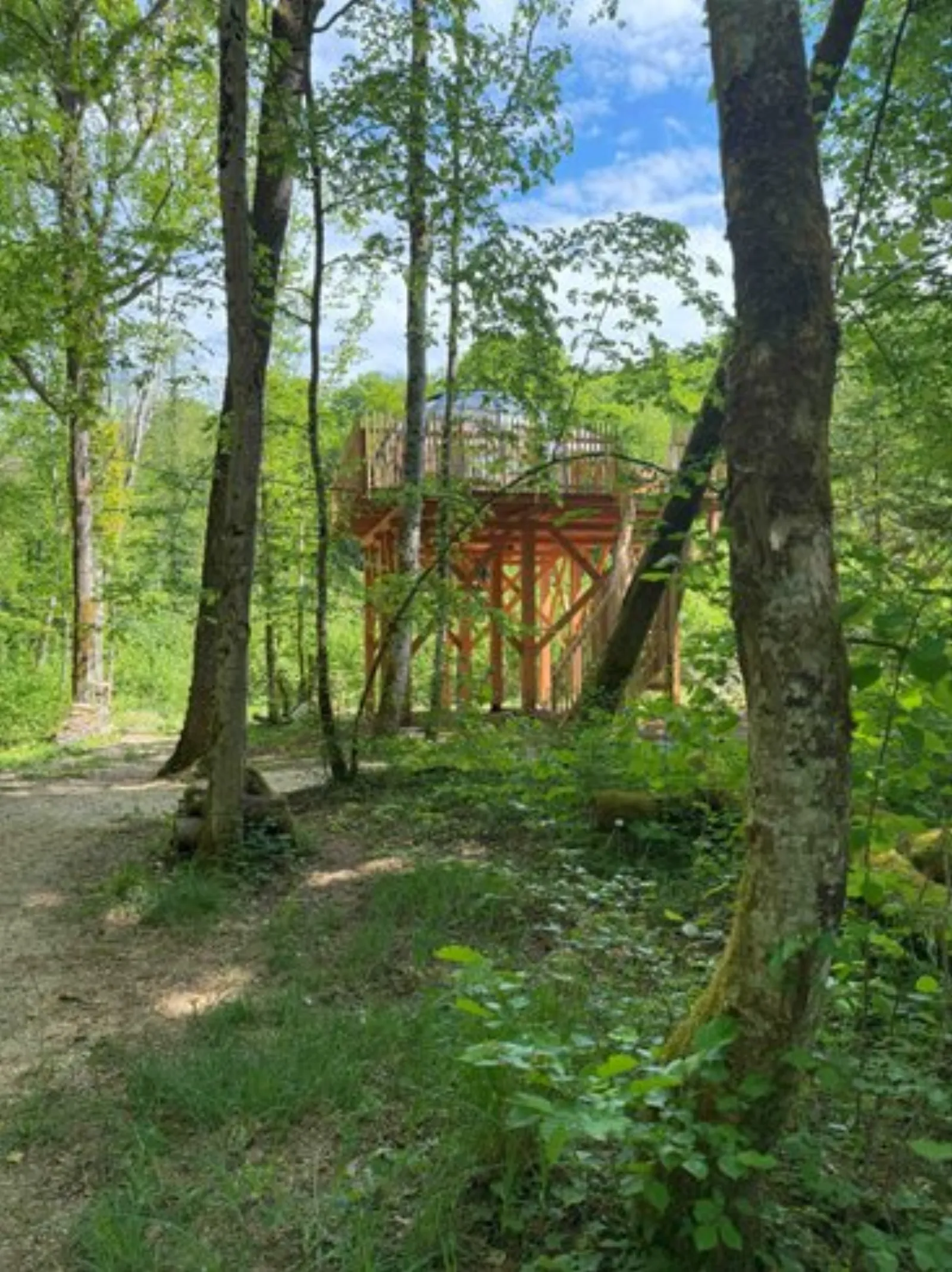 Grand dôme perché Spa - Geai des chênes : Dôme en Bourgogne (Bourgogne-Franche-Comté) - photo 8 sur 16