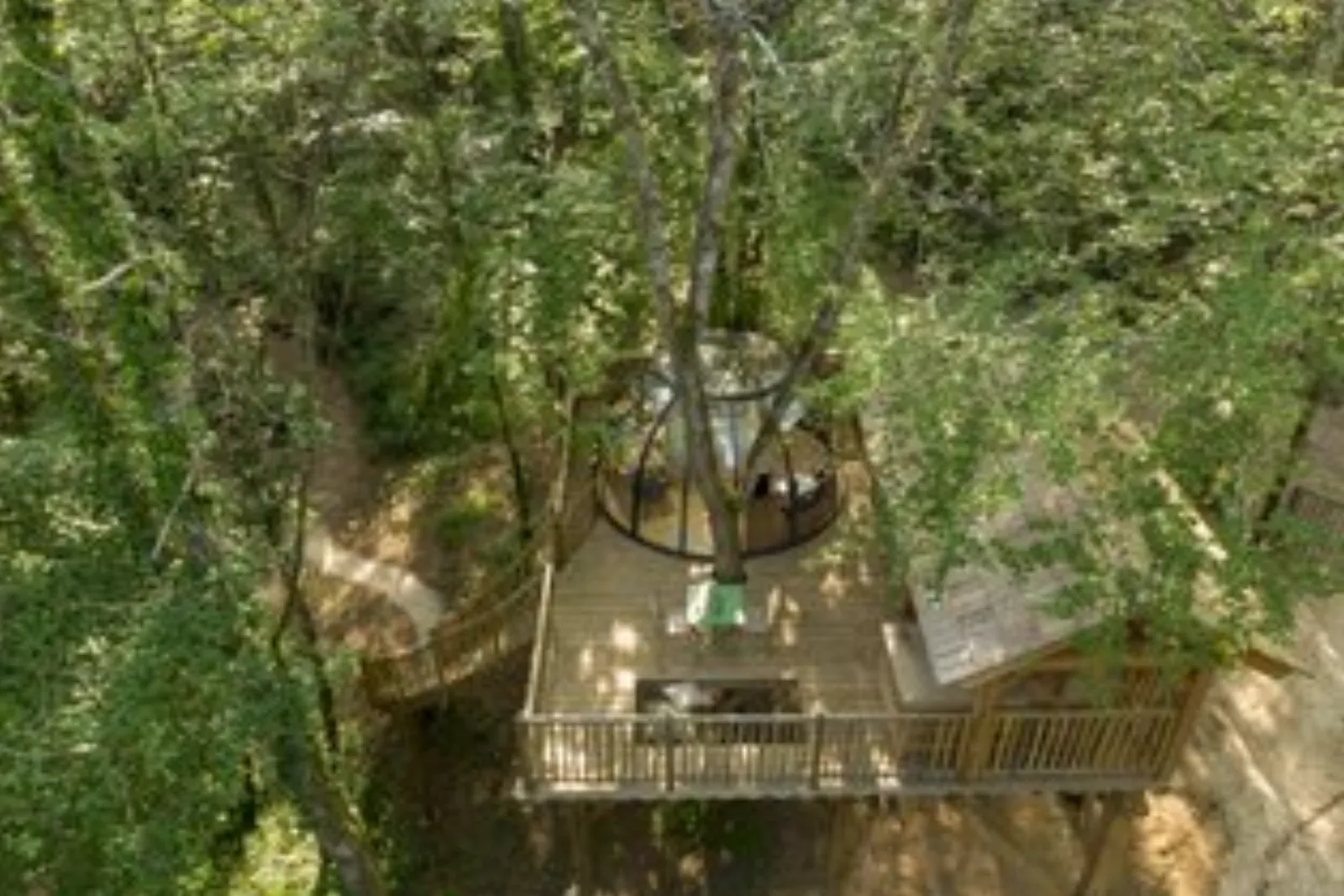 Grand dôme perché Spa - Geai des chênes : Dôme en Bourgogne (Bourgogne-Franche-Comté) - photo 13 sur 16