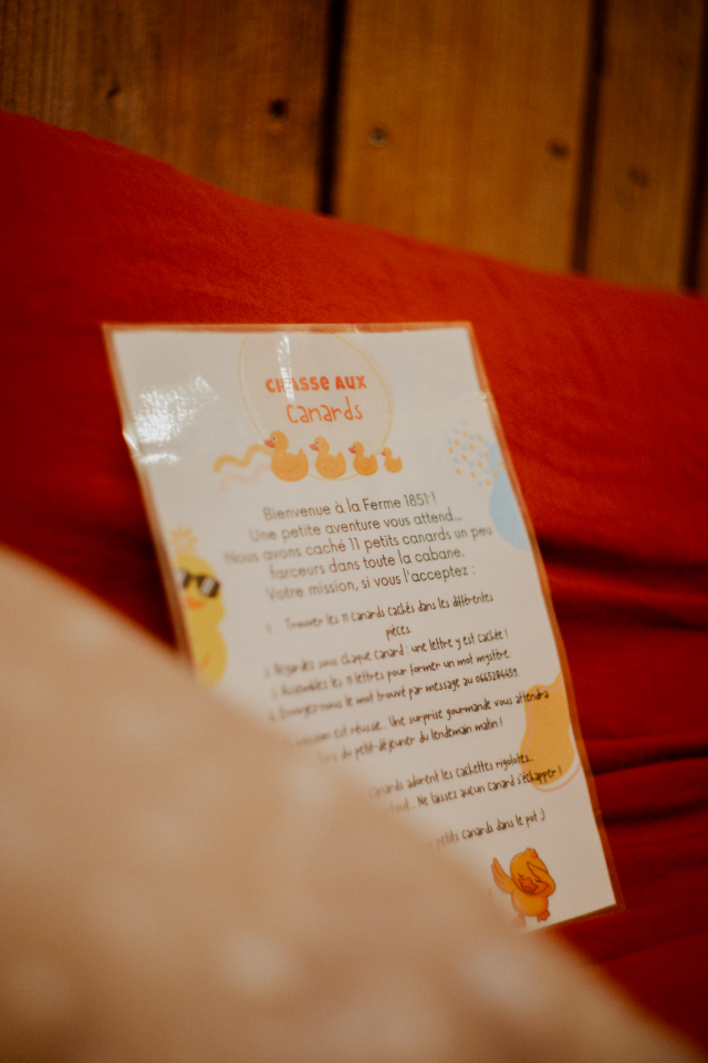 -la Ferme 1851- Cabane Spa nordique privé vue sur champs – photo 27 sur 34