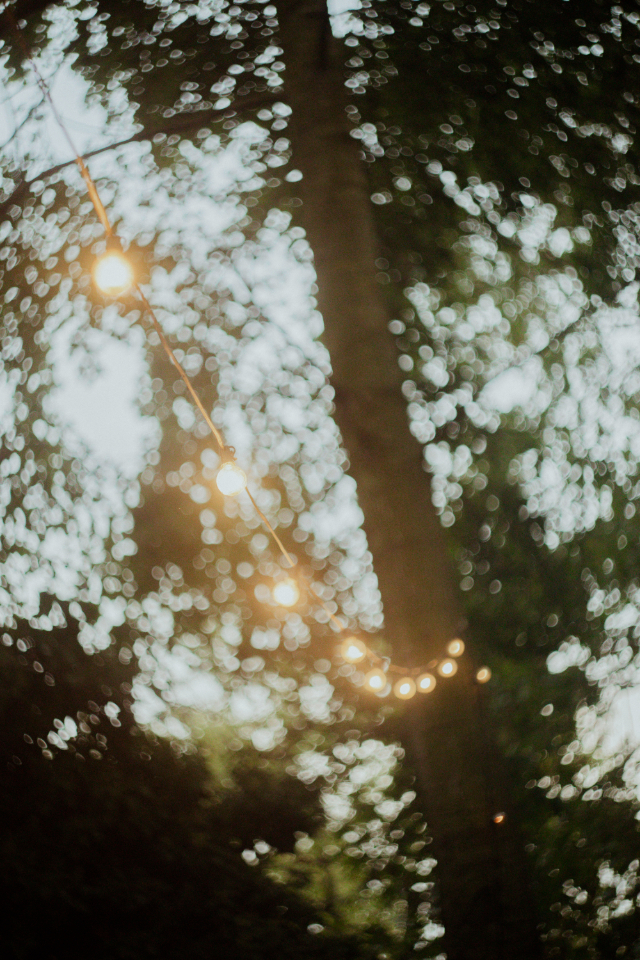 -la Ferme 1851- Cabane Spa nordique privé vue sur champs – photo 29 sur 34