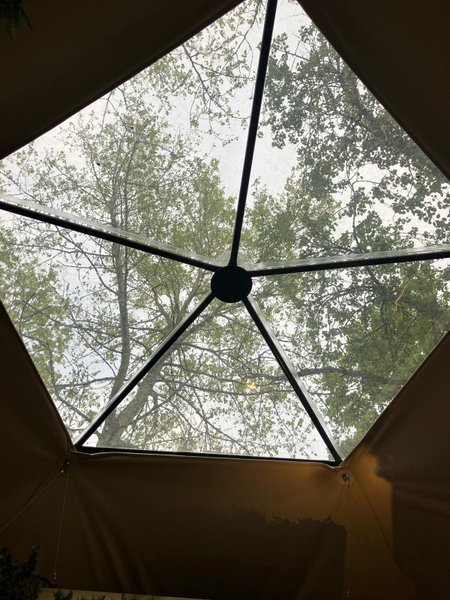 Le Coup Fourré & Spa : Dôme en Nord-Pas-de-Calais (Hauts-de-France) – photo 54 sur 81