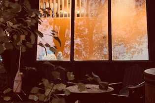 Le Coup Fourré & Spa : Dôme en Nord-Pas-de-Calais (Hauts-de-France) – photo 75 sur 81