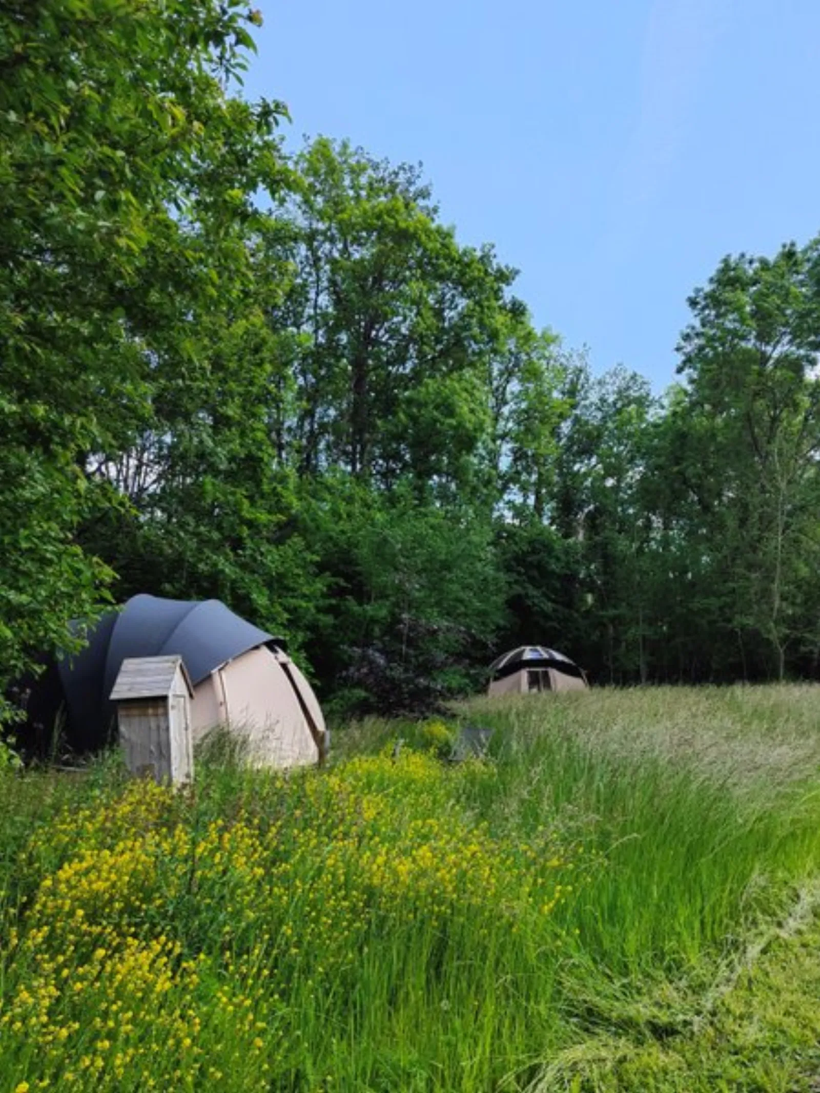 Dôme Andromède : Dôme en Centre (Centre-Val de Loire) - dôme à Cere La Ronde, Indre-et-Loire