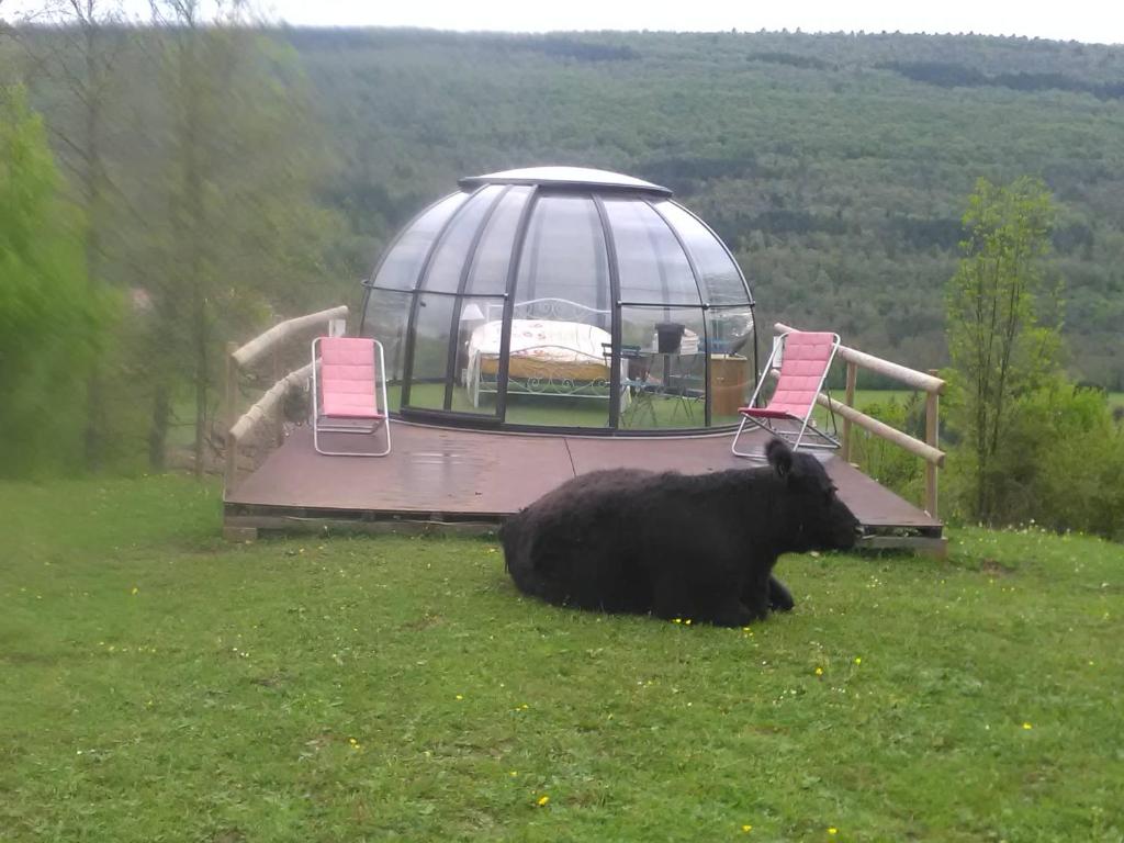 dôme insolite Ariège – photo 5