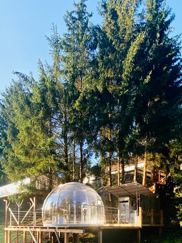 Chambre dôme sous les étoiles à Siersthal