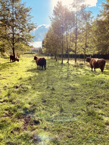 Le Dôme : Dôme en Lorraine (Grand Est) – photo 11 sur 18