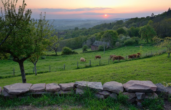 La Domostella : Dôme en Limousin (Nouvelle Aquitaine) – photo 16 sur 16
