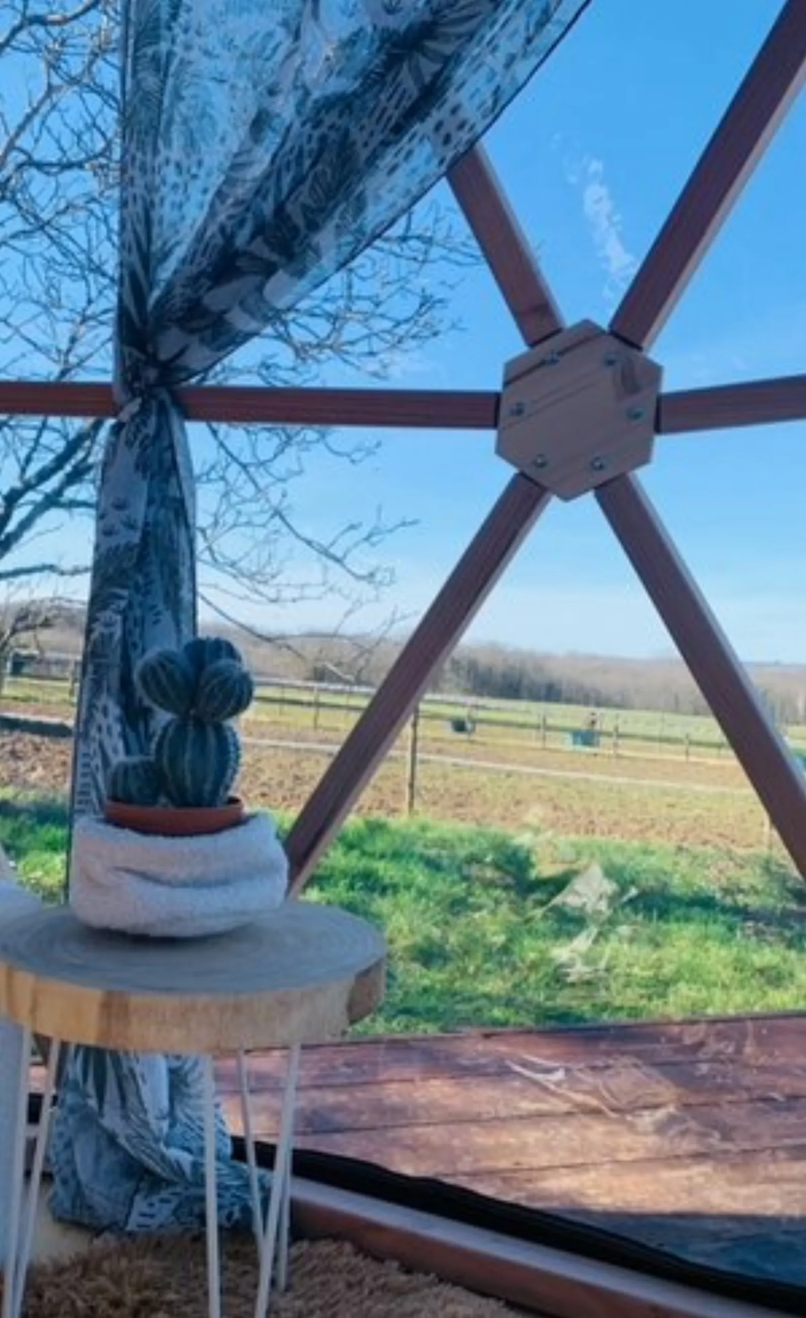 Dôme & spa TAÏMI : Dôme en Aquitaine (Nouvelle Aquitaine) - photo 8 sur 20