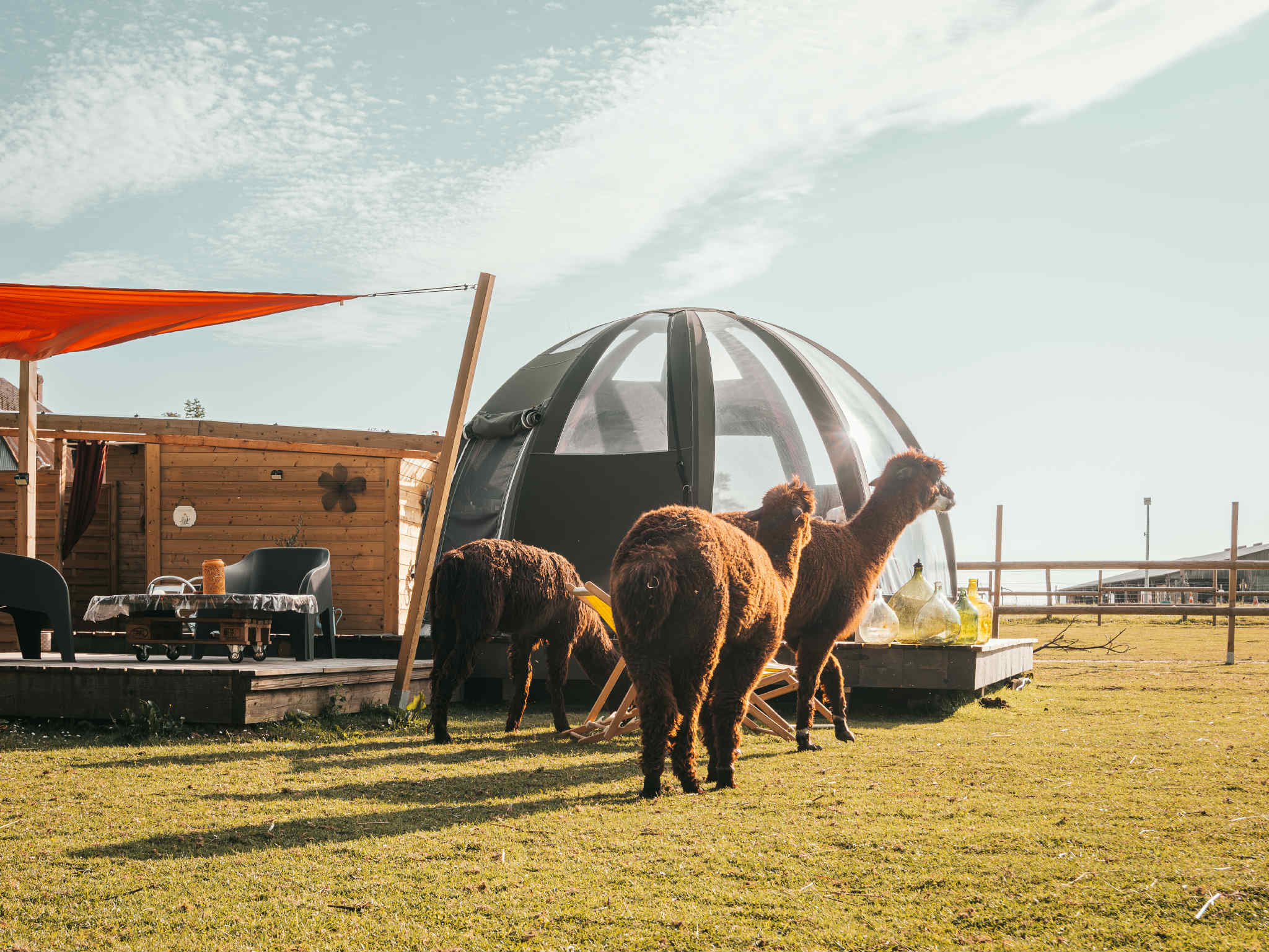 Intérieur bulle à La Cerlangue