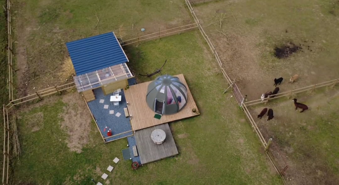 La nuit des Alpagas – cadre naturel Seine-Maritime