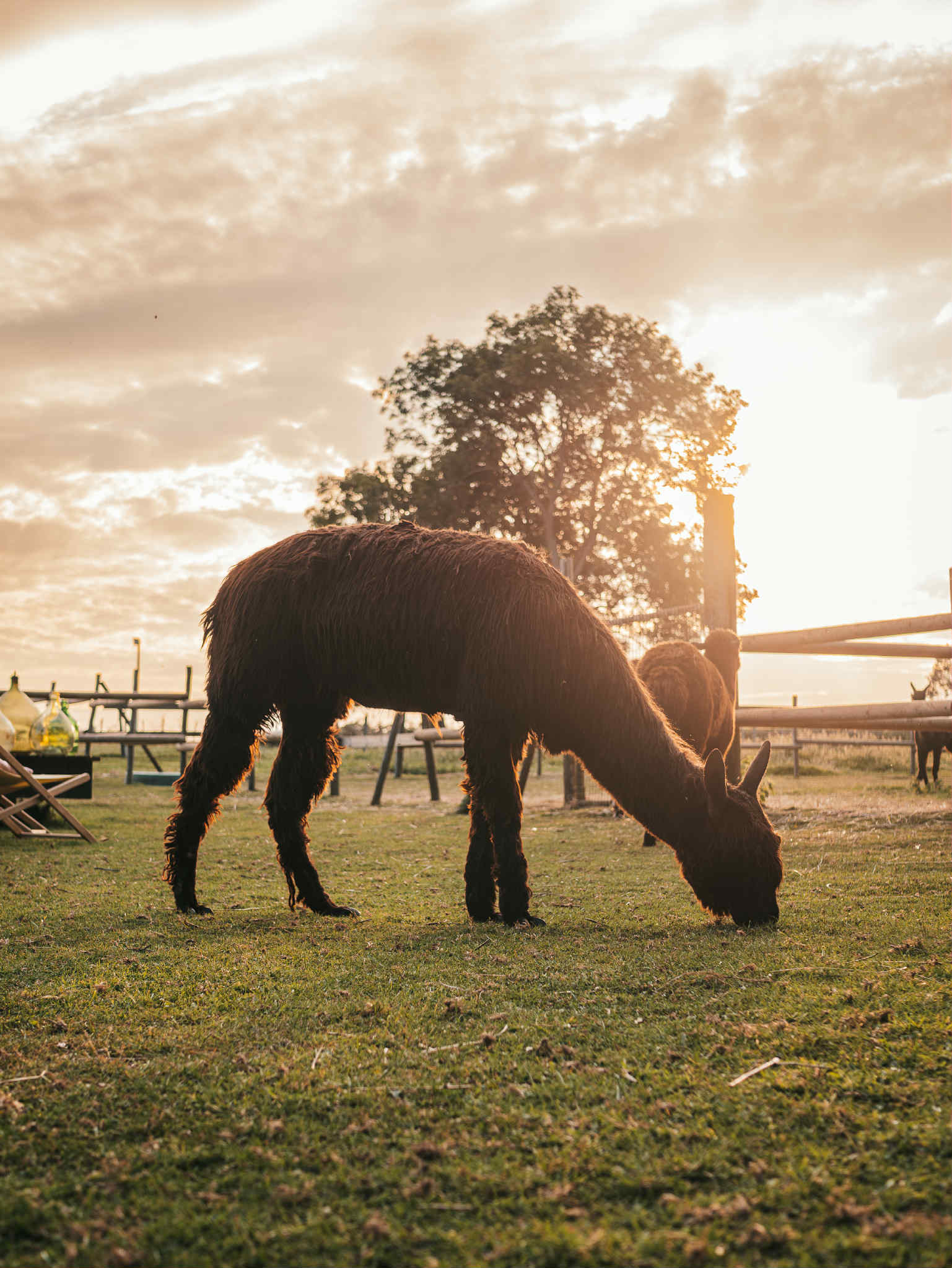 bulle insolite Seine-Maritime – photo 5