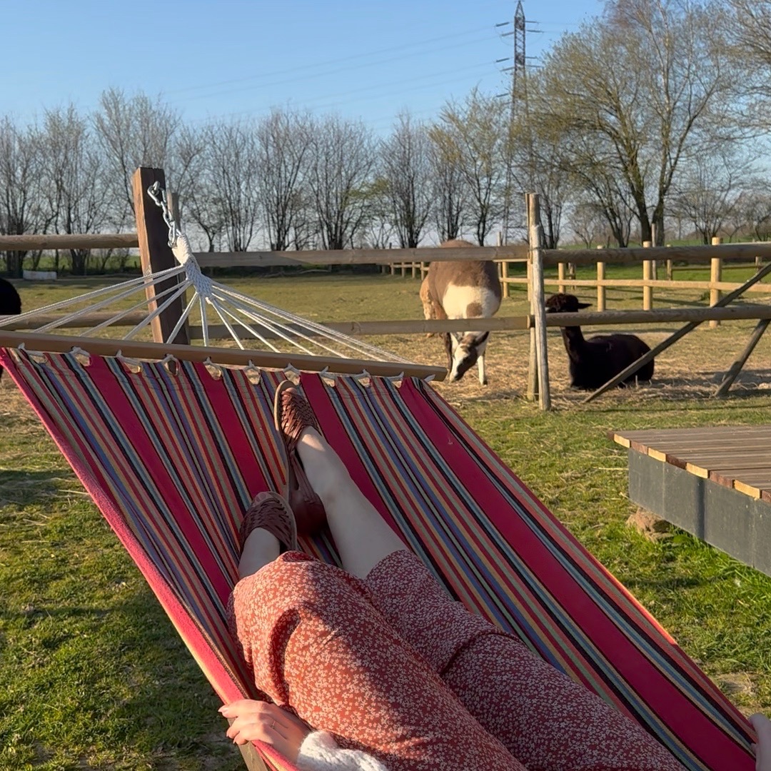 La nuit des Alpagas – photo 12 sur 18