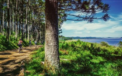 Zome Le Cerisier – photo 32 sur 34