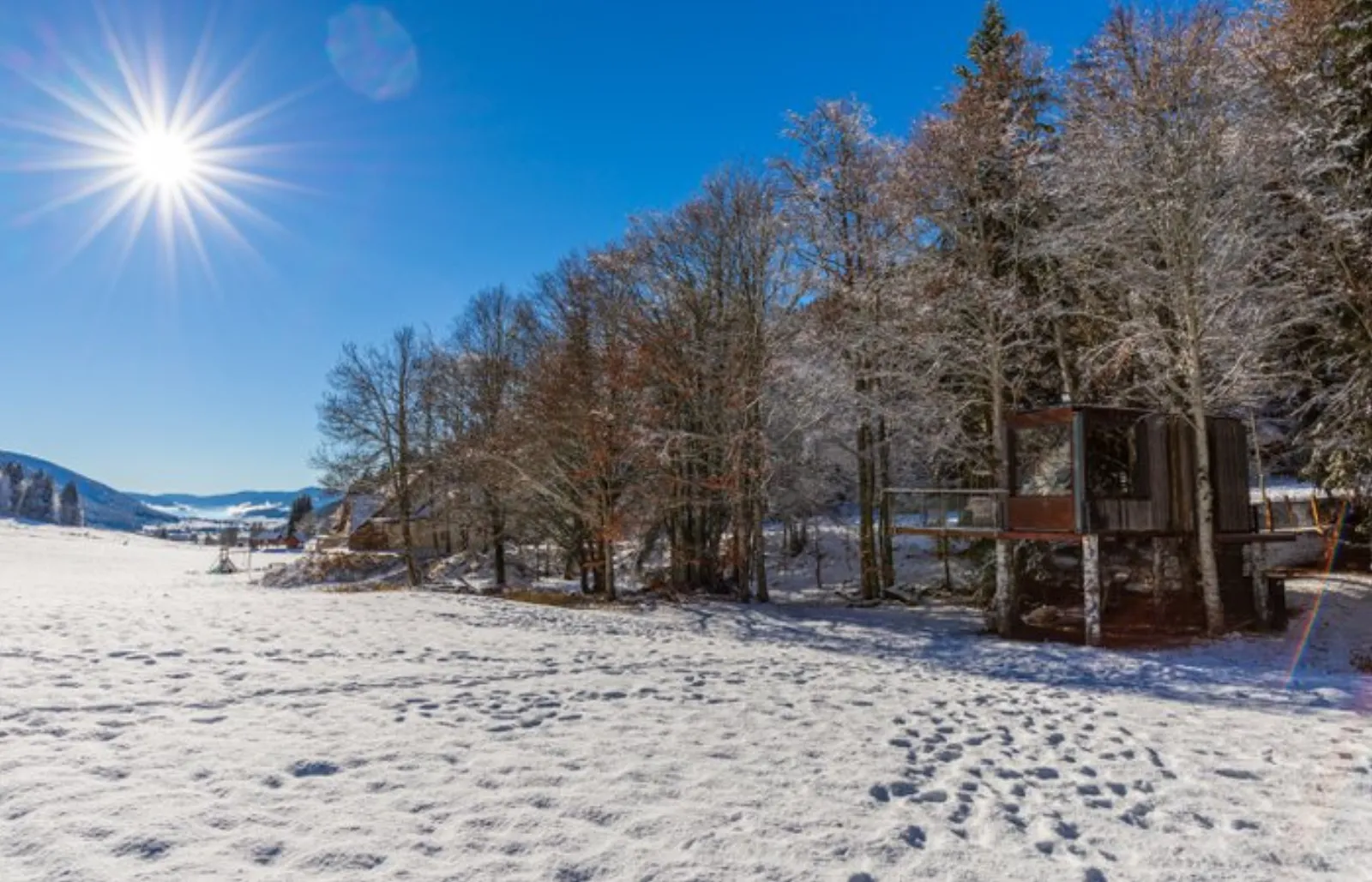 Dôme panoramique, une immersion totale dans la nature : Dôme en Rhône-Alpes (Auvergne-Rhône-Alpes) - photo 25 sur 28