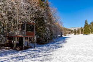 Dôme panoramique, une immersion totale dans la nature : Dôme en Rhône-Alpes (Auvergne-Rhône-Alpes) – photo 27 sur 28