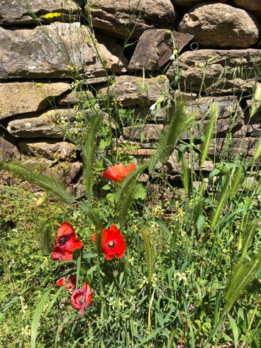 Chambre dôme sous les étoiles à Prémian