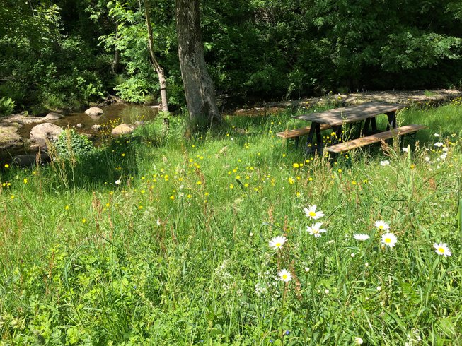 dôme insolite Hérault – photo 5