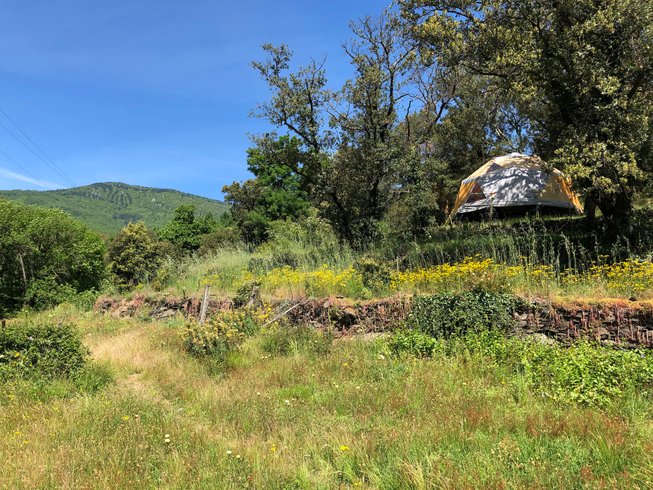 Le luxe champêtre d'un Géodôme en châtaignier : Dôme en Languedoc-Roussillon (Occitanie) – photo 6 sur 15