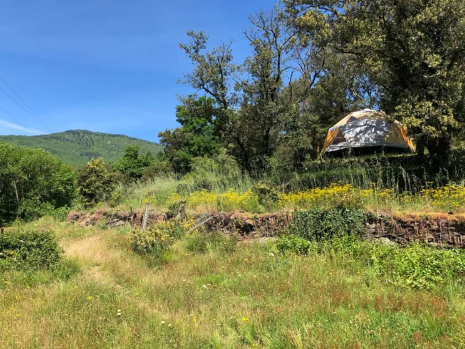 Le luxe champêtre d'un Géodôme en châtaignier : Dôme en Languedoc-Roussillon (Occitanie) - photo 6 sur 15