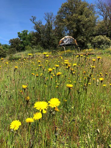 Le luxe champêtre d'un Géodôme en châtaignier : Dôme en Languedoc-Roussillon (Occitanie) – photo 11 sur 15