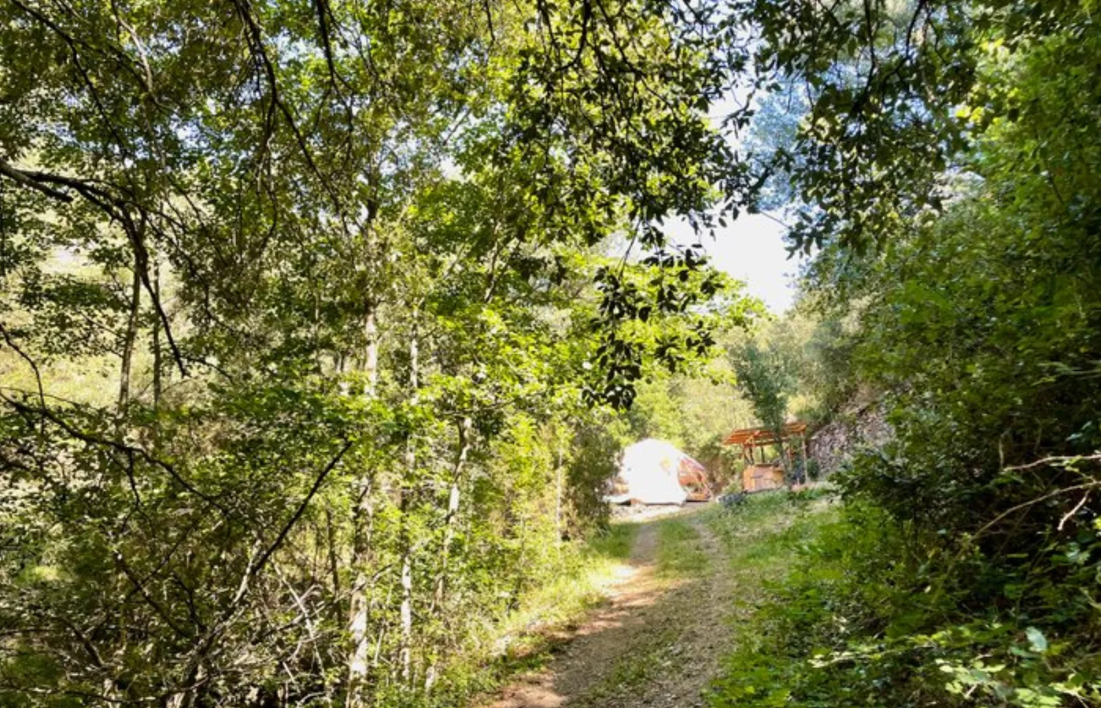Le luxe champêtre d'un Géodôme en châtaignier : Dôme en Languedoc-Roussillon (Occitanie) - photo 12 sur 15