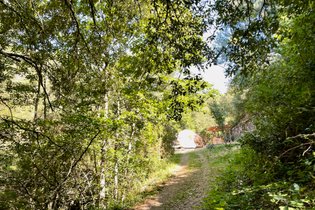 Le luxe champêtre d'un Géodôme en châtaignier : Dôme en Languedoc-Roussillon (Occitanie) – photo 14 sur 15