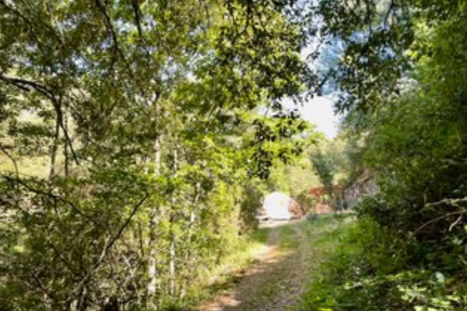 Le luxe champêtre d'un Géodôme en châtaignier : Dôme en Languedoc-Roussillon (Occitanie) - photo 14 sur 15
