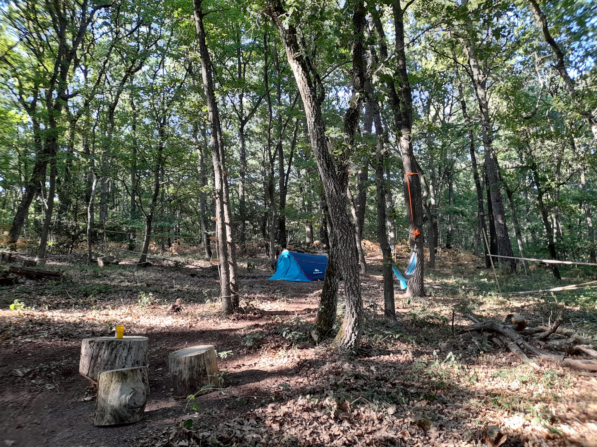 La trogloglo – photo 6 sur 27