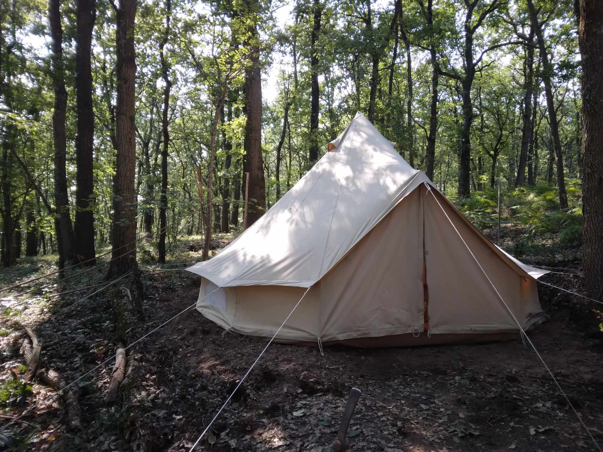 La trogloglo – photo 8 sur 27