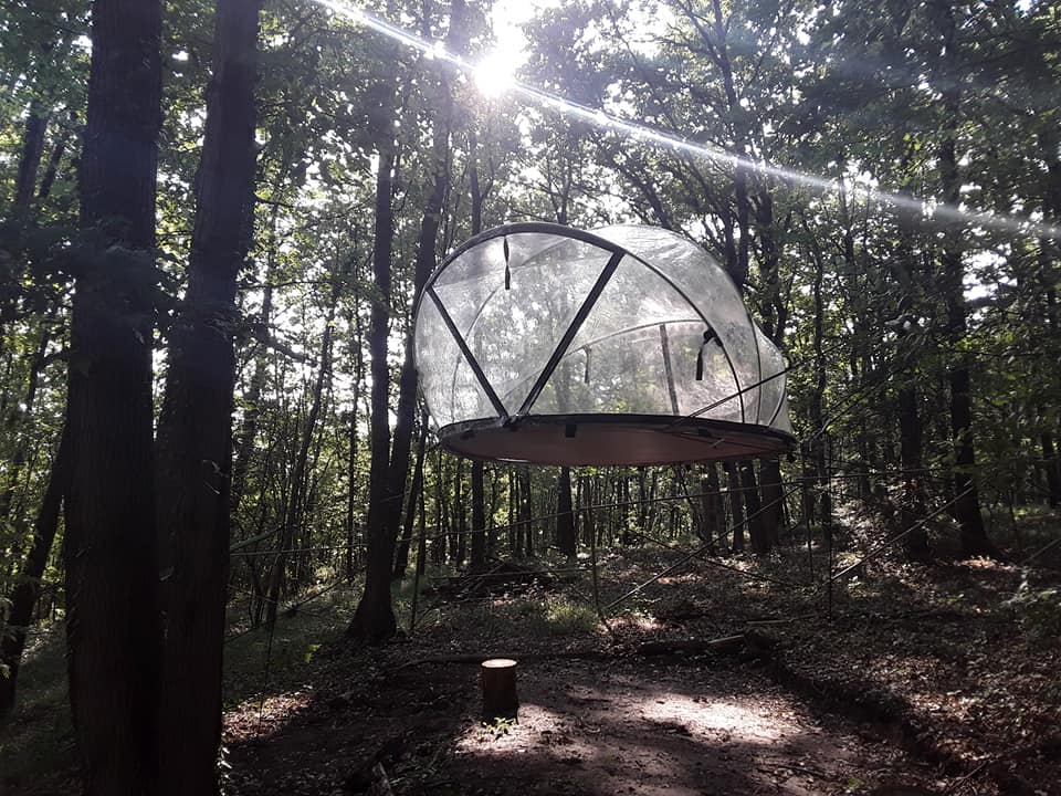 La trogloglo – photo 9 sur 27