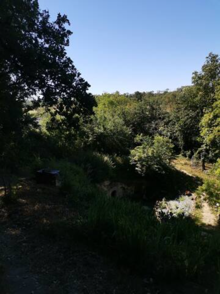 La trogloglo – photo 12 sur 27