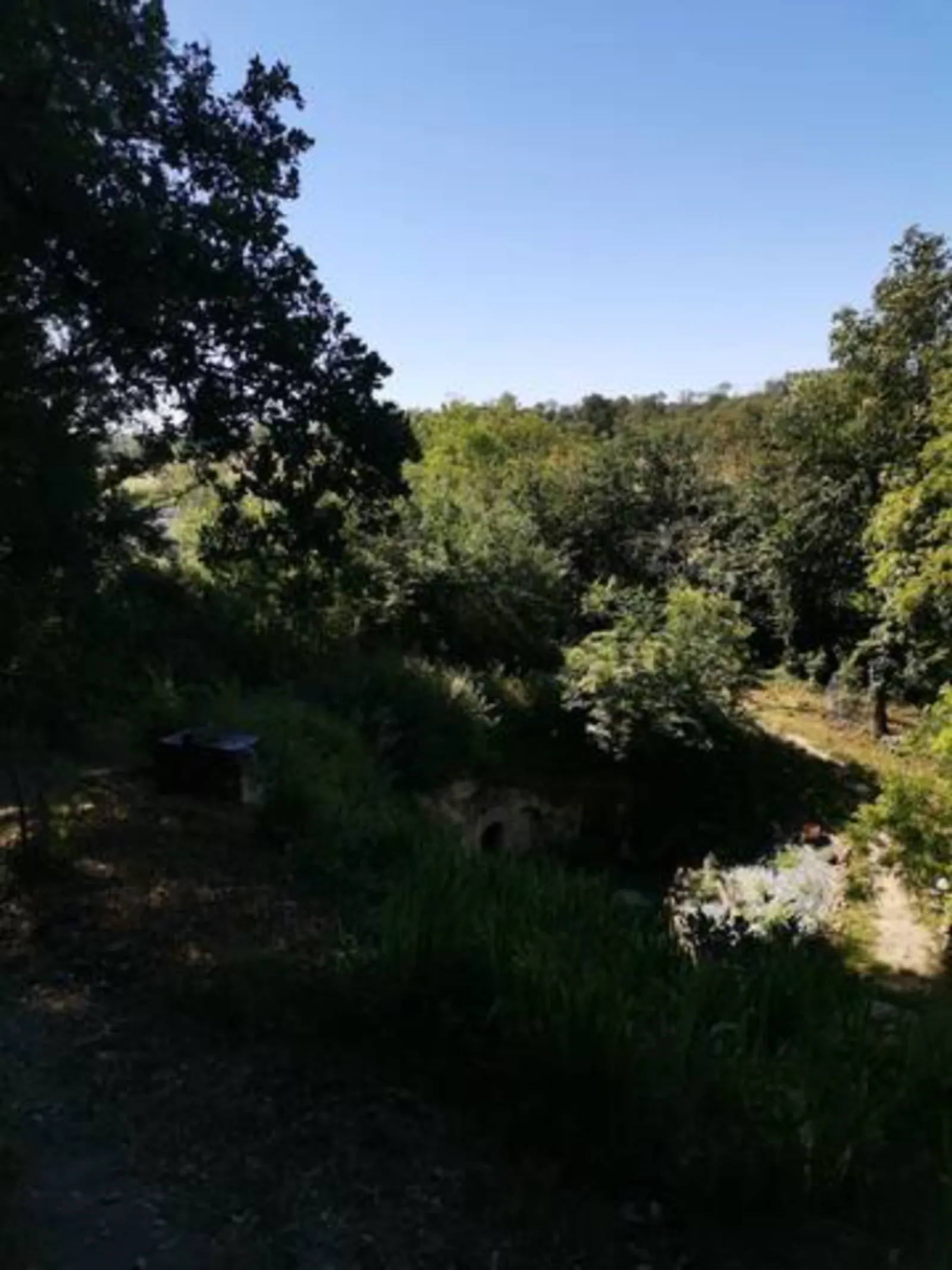 La trogloglo - photo 12 sur 27