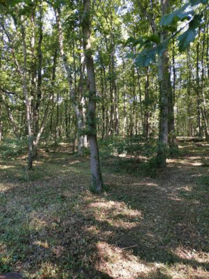 La trogloglo – photo 13 sur 27