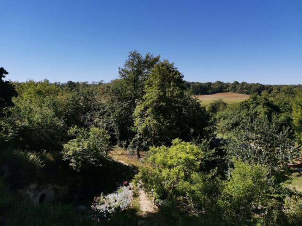 La trogloglo – photo 15 sur 27