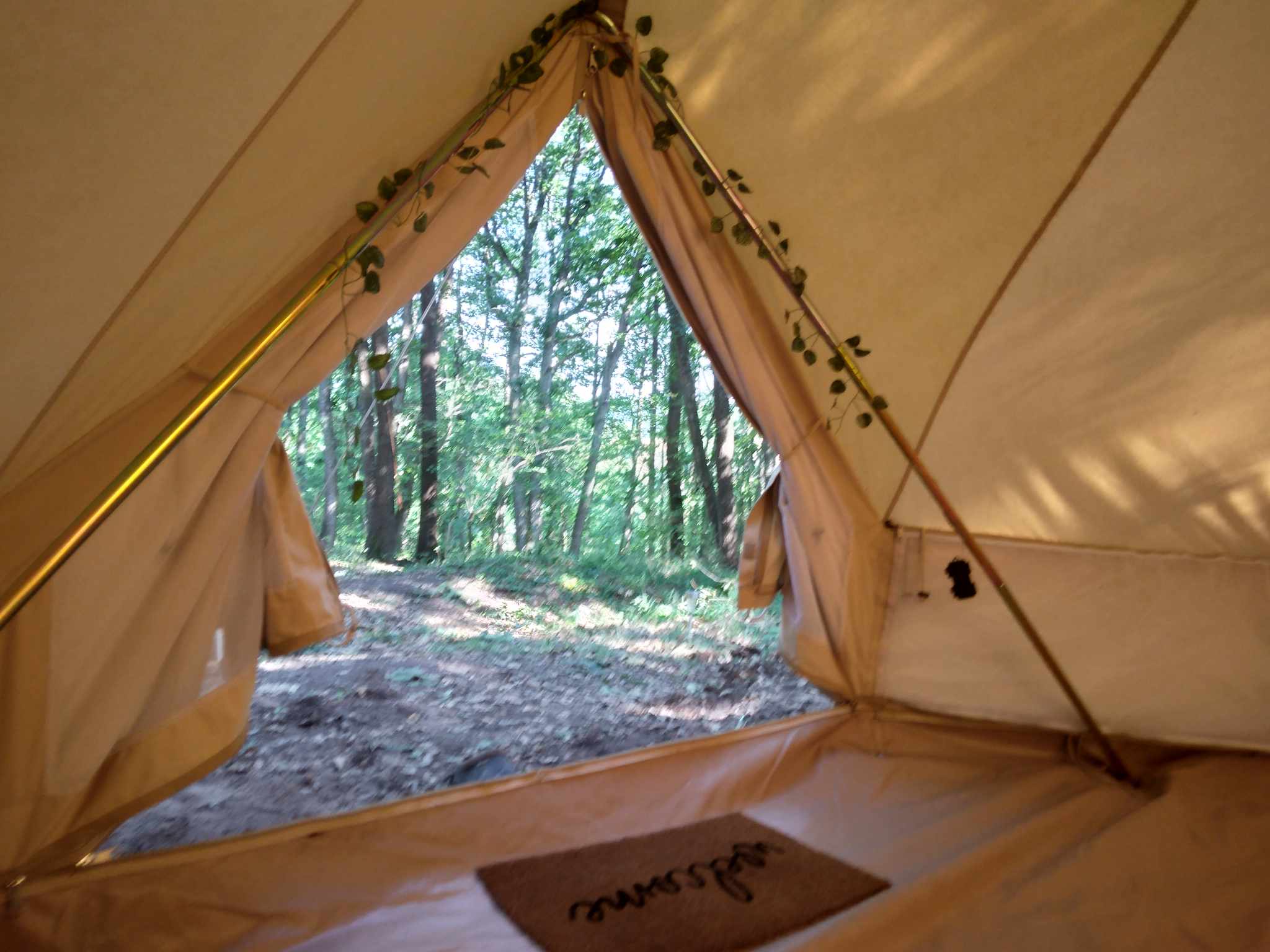 La trogloglo – photo 16 sur 27