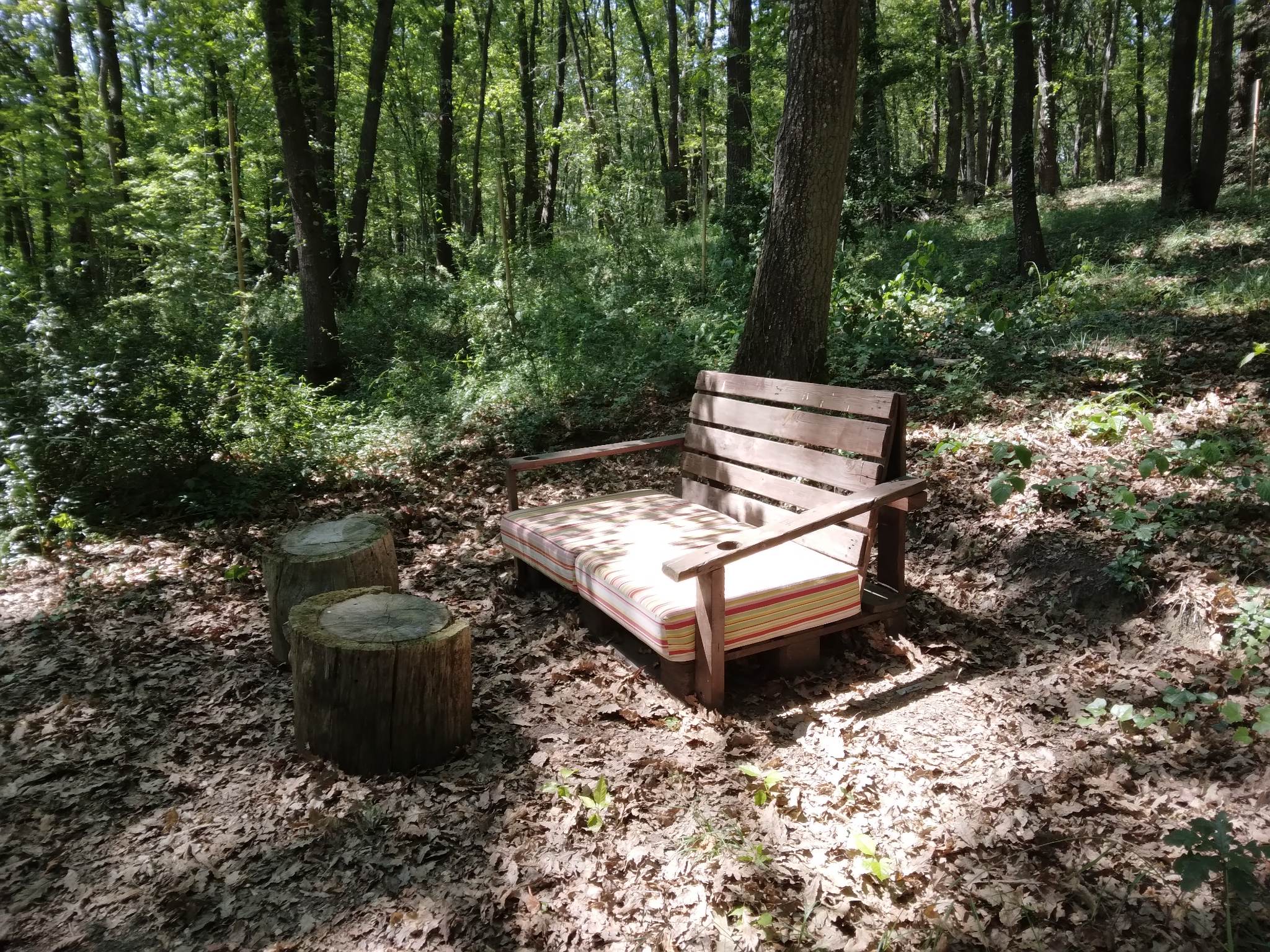 La trogloglo – photo 20 sur 27