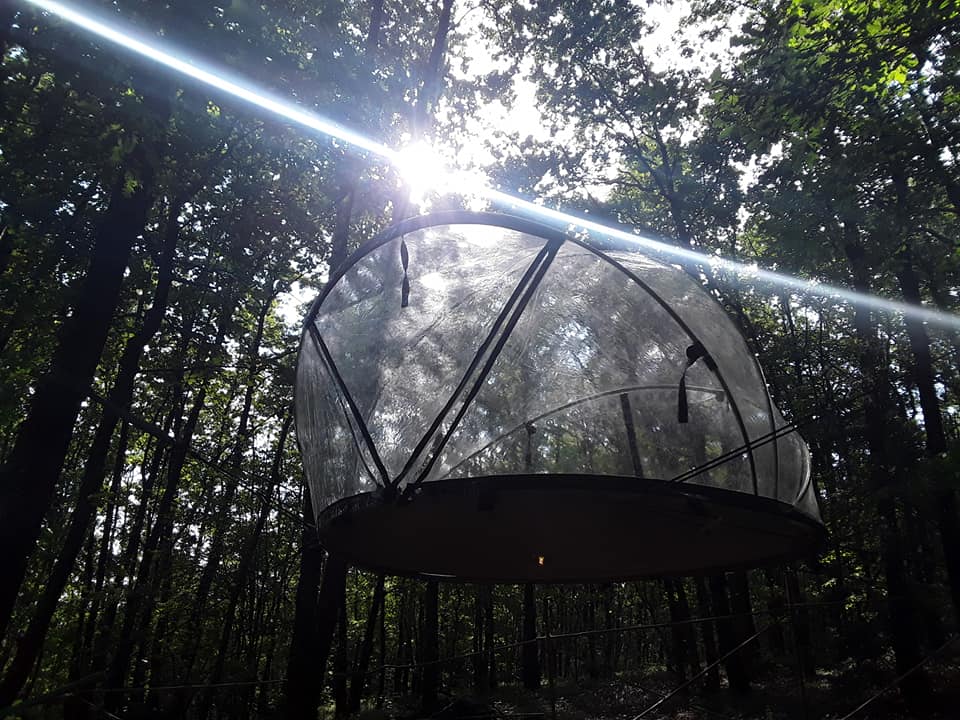 La trogloglo – photo 21 sur 27