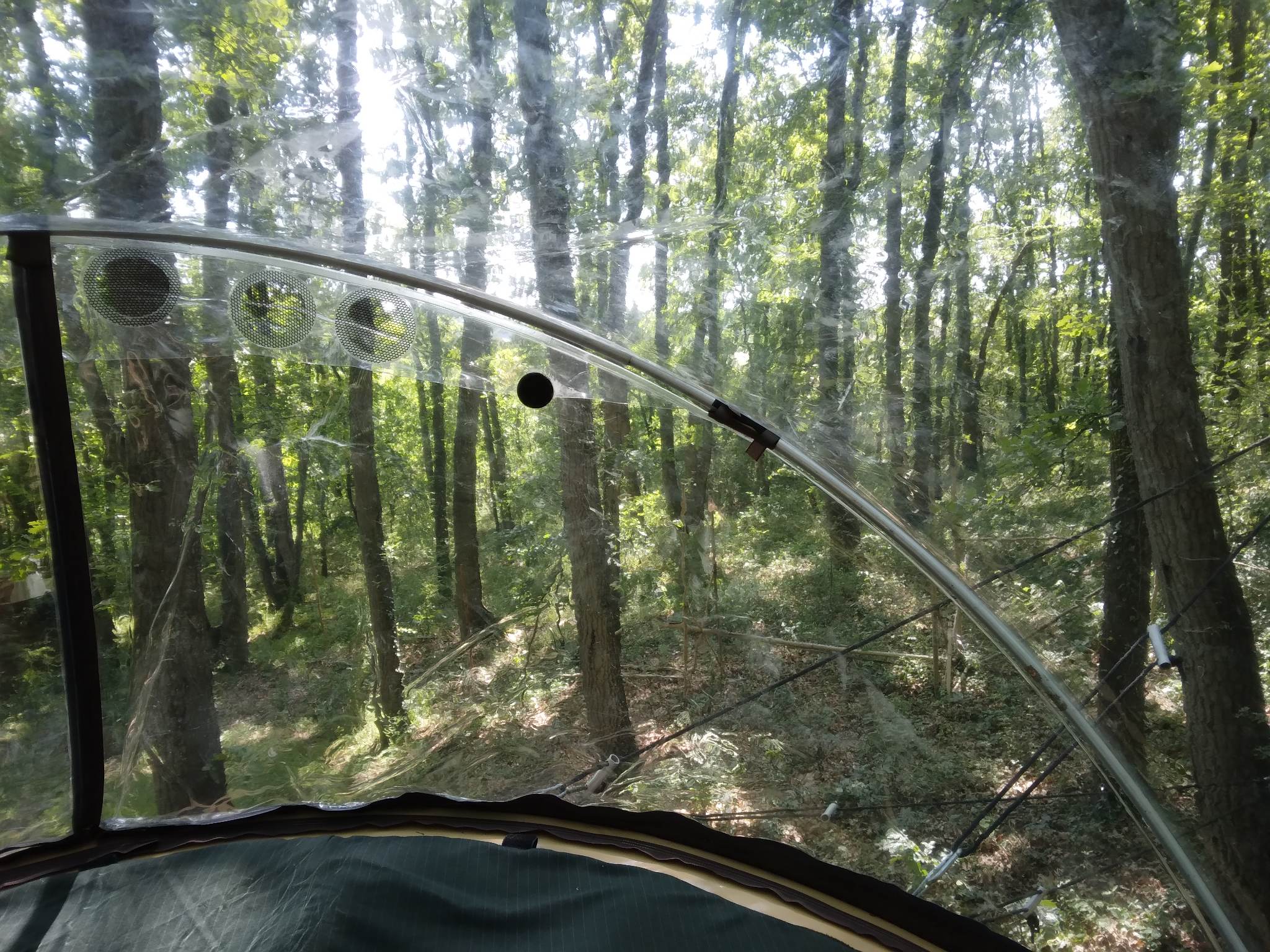 La trogloglo – photo 24 sur 27