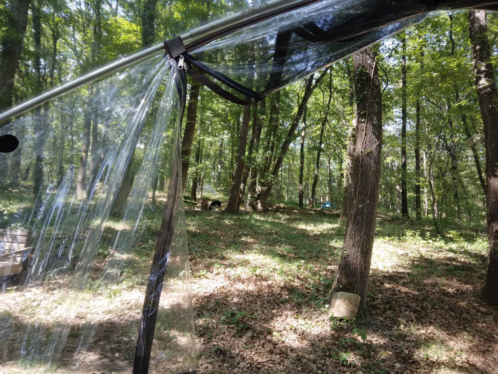 La trogloglo – photo 27 sur 27