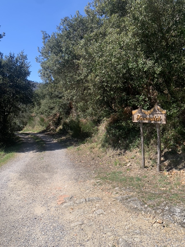 Zome Lascoutch – cadre naturel Gard