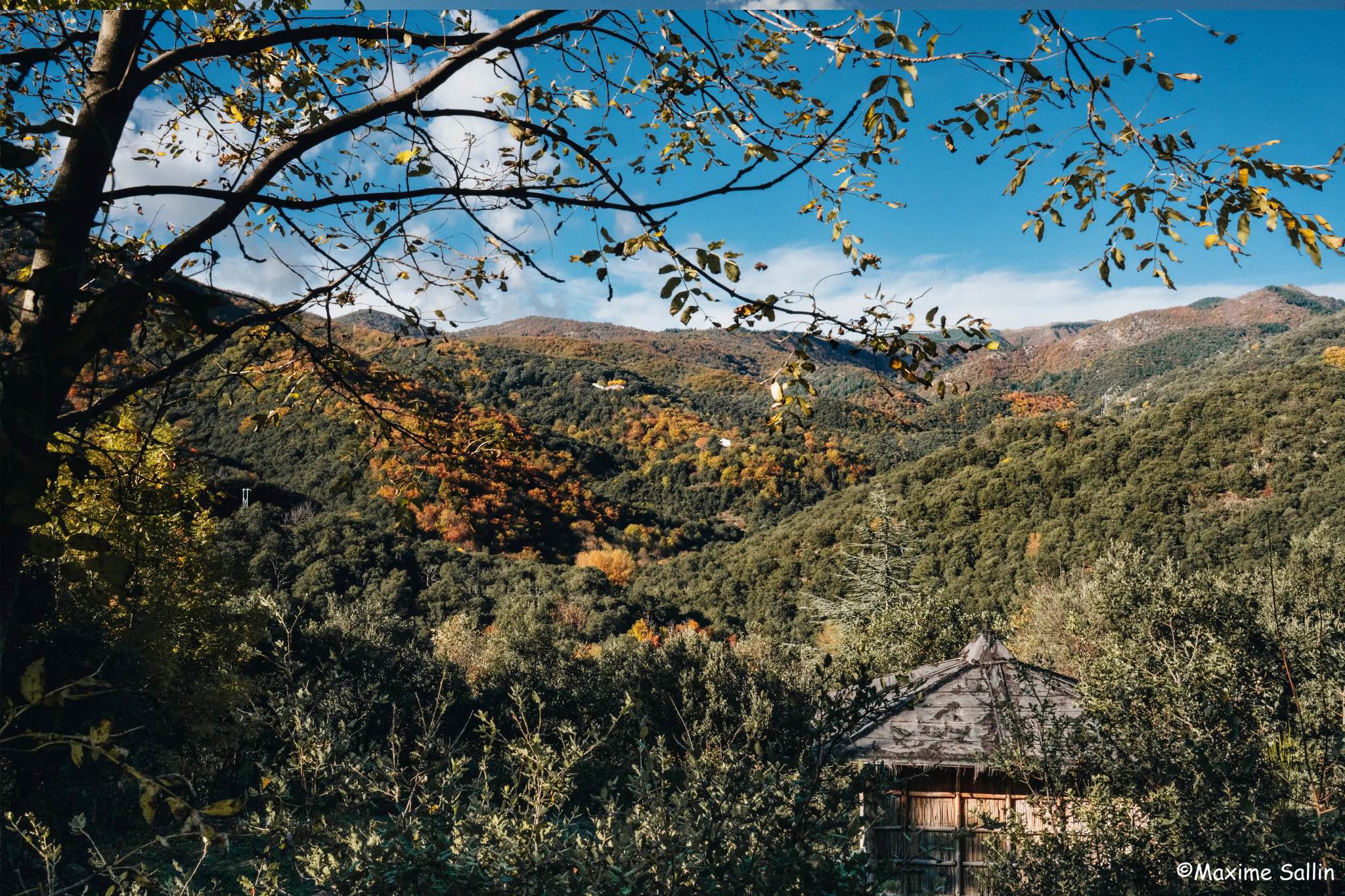 Zome Lascoutch – photo 10 sur 18