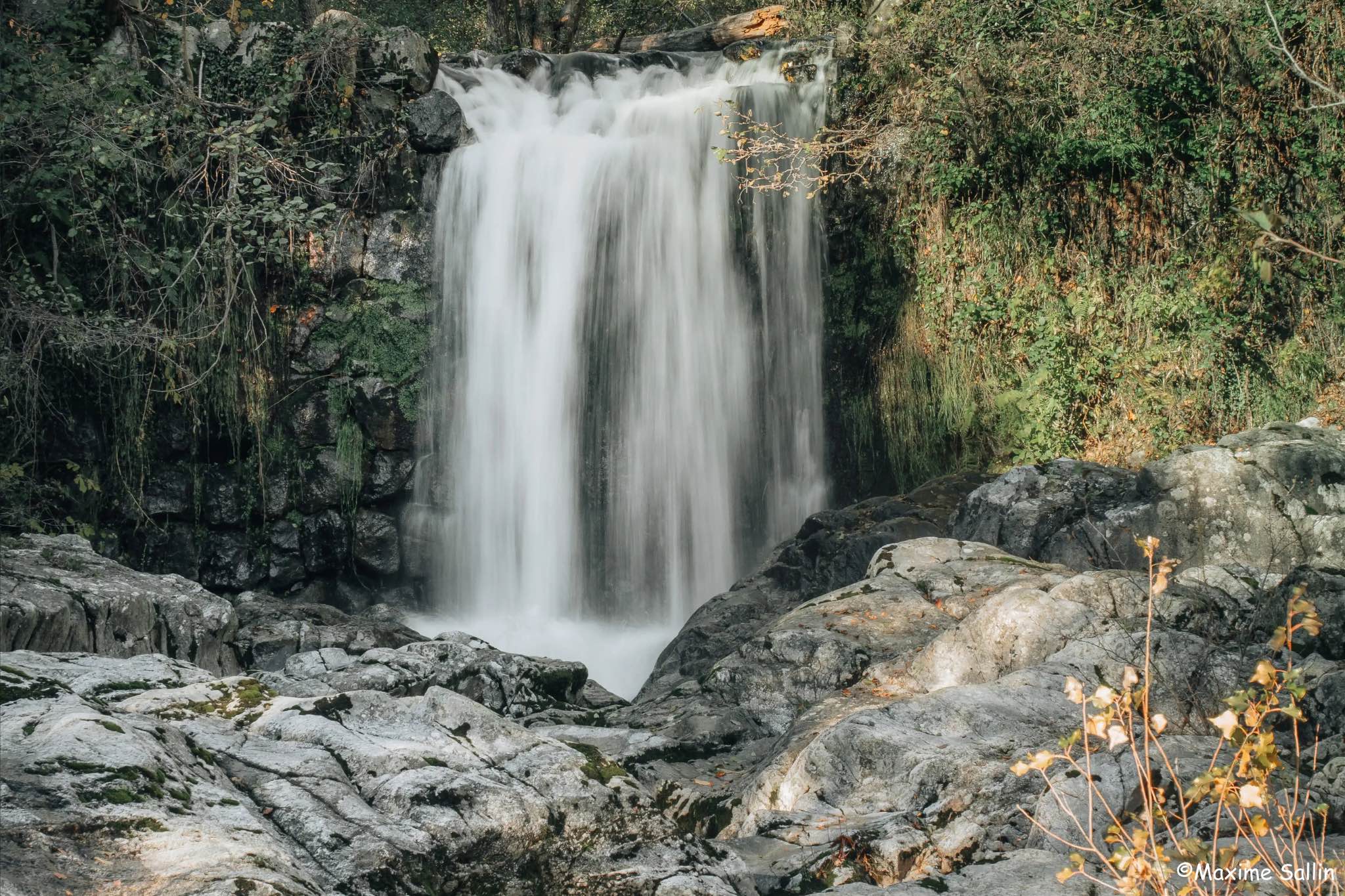 Zome Lascoutch – photo 11 sur 18