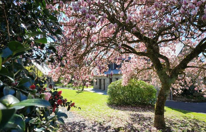 Le Dôme & spa : Dôme en Basse-Normandie (Normandie) – photo 8 sur 14