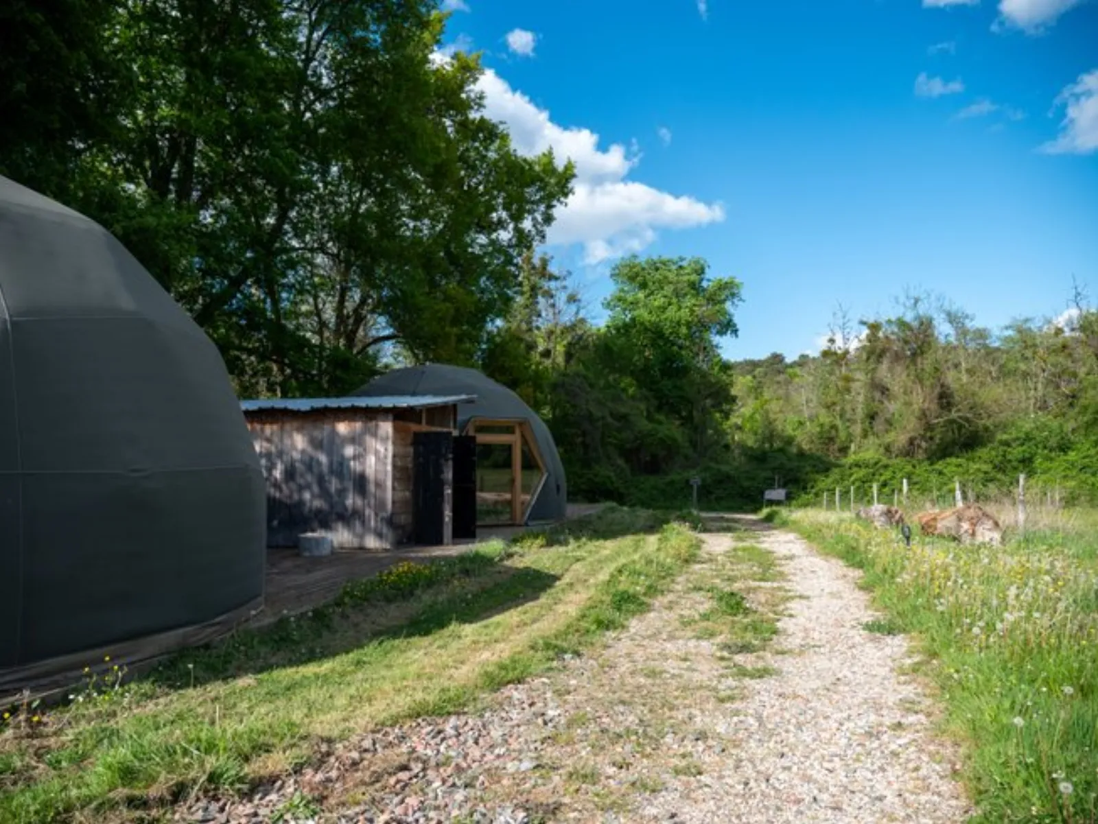 Glamping : nos dômes & son lac privé : Dôme en Aquitaine (Nouvelle Aquitaine) - photo 9 sur 23